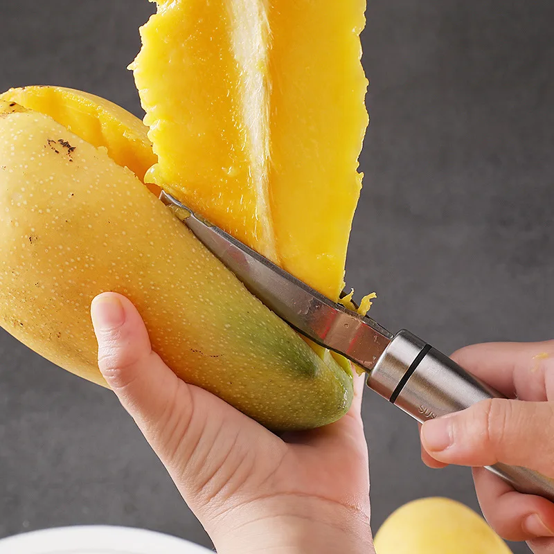 เครื่องตัดมะม่วง Peeler Mango  - Mango Splitter Tool บทวิจารณ์และราคา